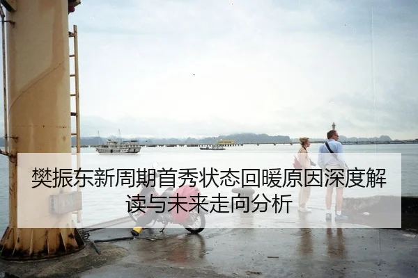 樊振东新周期首秀状态回暖原因深度解读与未来走向分析